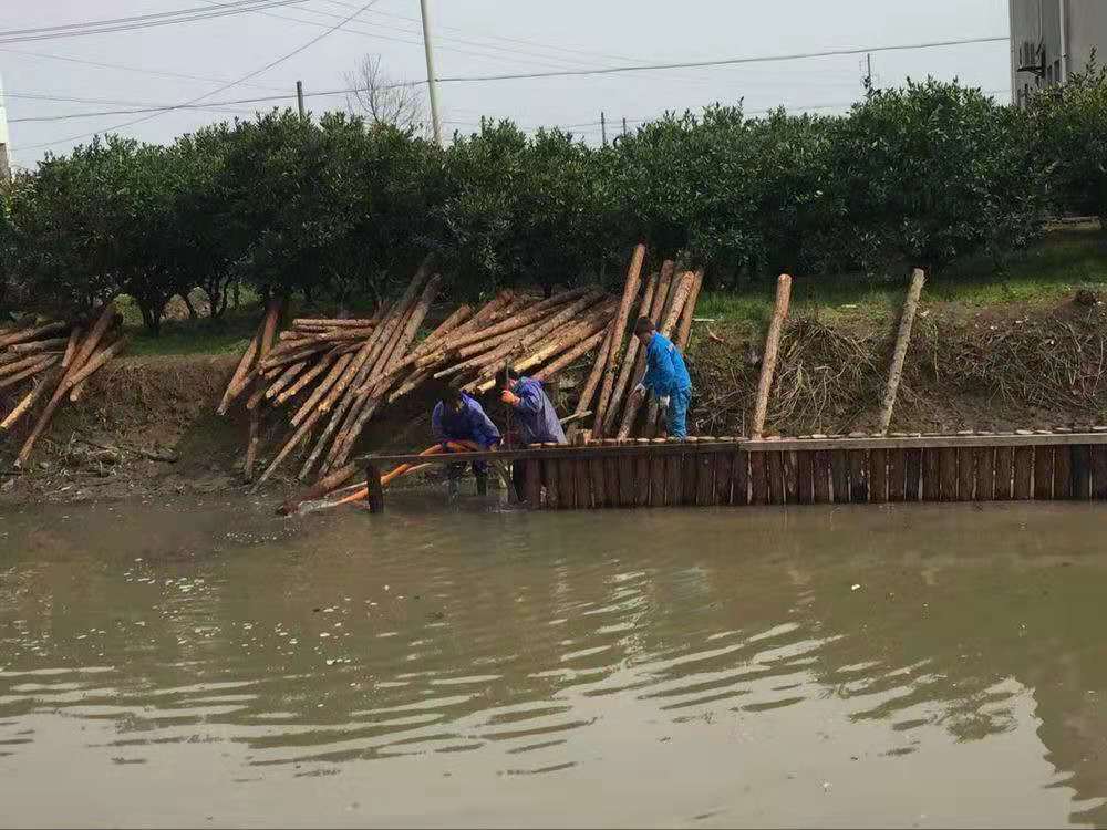 海州4米落葉松打樁木